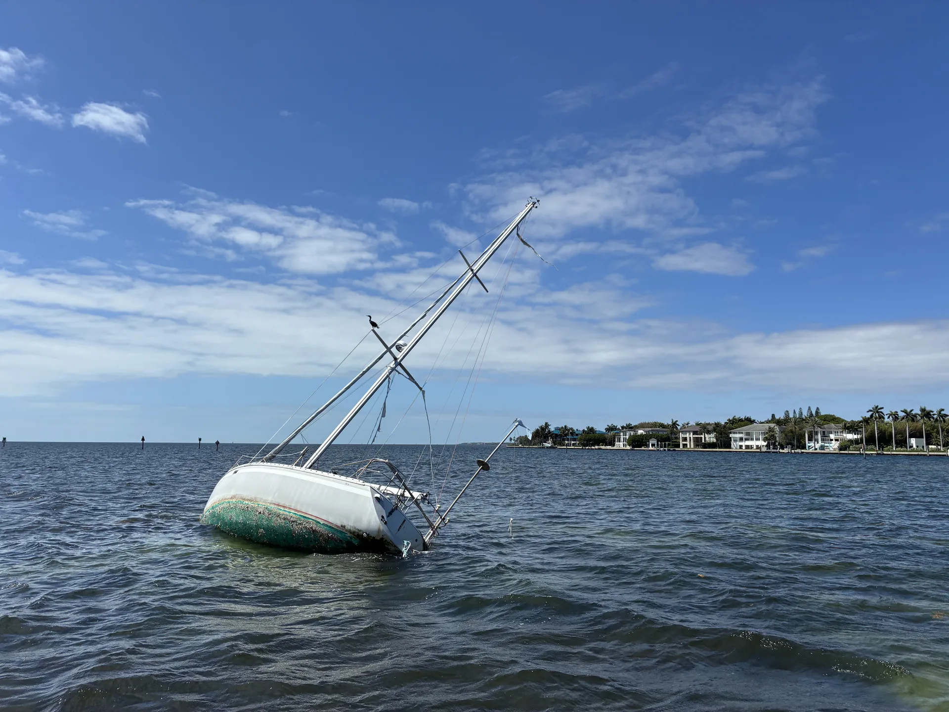 Denied Claims cinematic