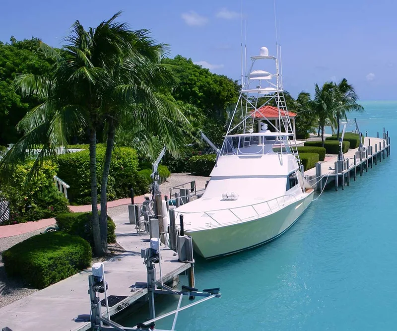 Denied Claims detail